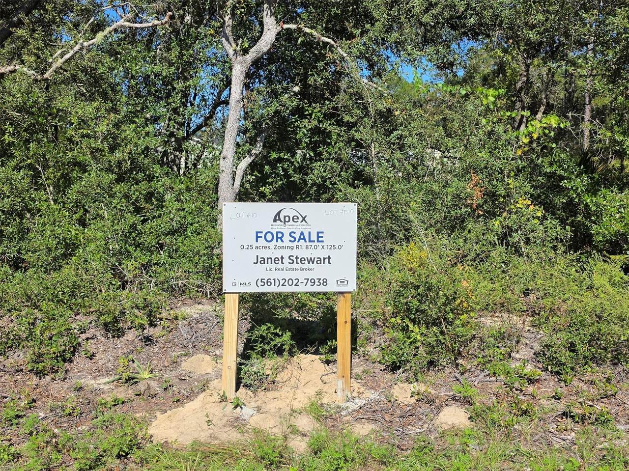 Lot 10 Malauka Circle - Photo 1