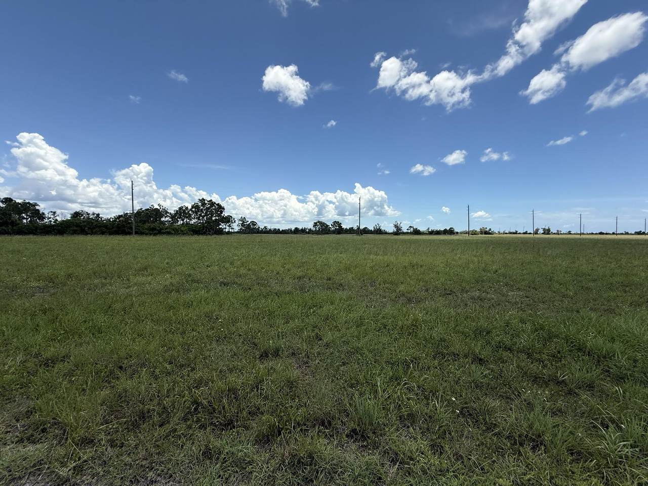 12439 Greenling Way - Photo 1