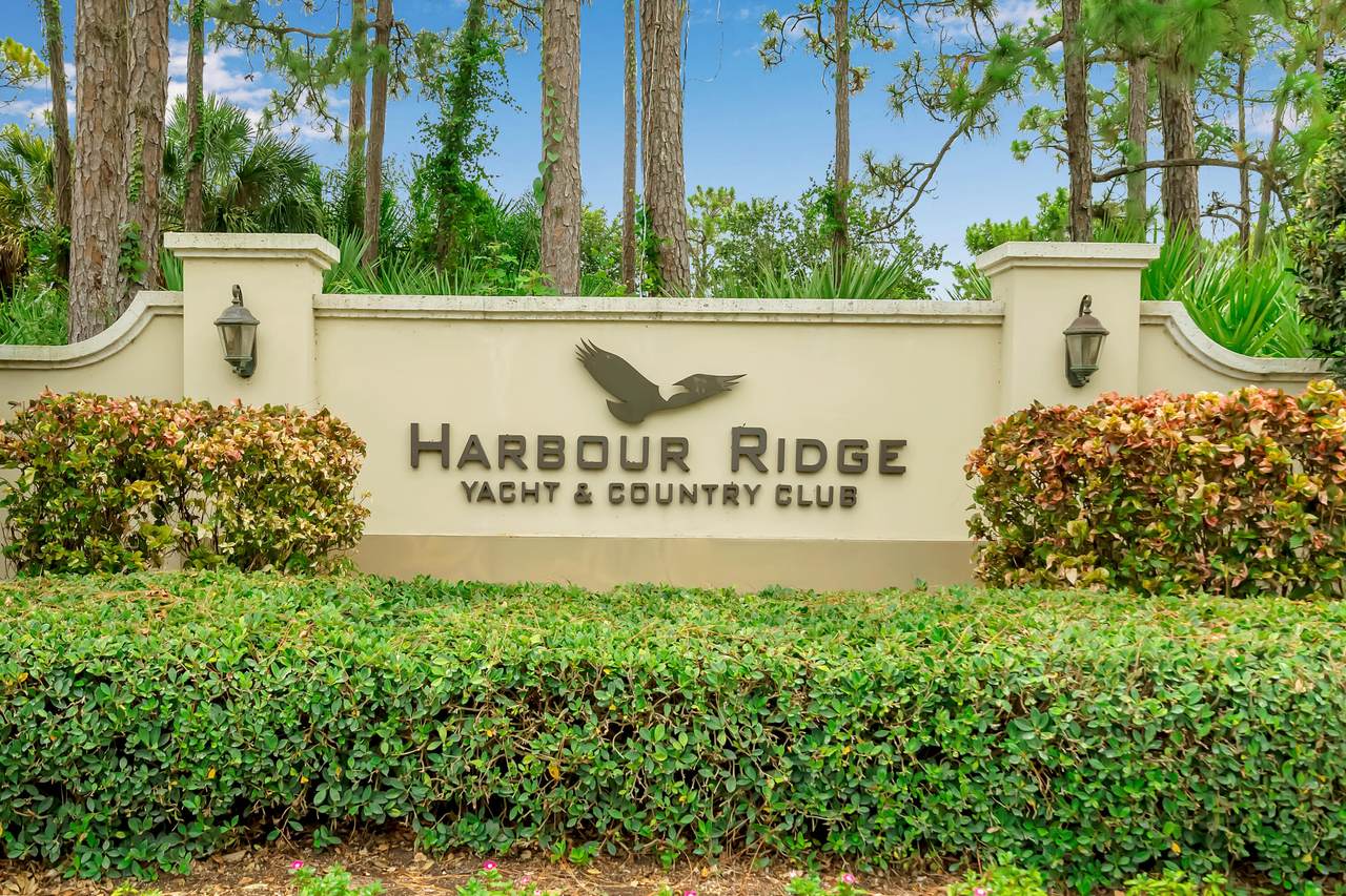 1701 Buttonbush Circle - Photo 1