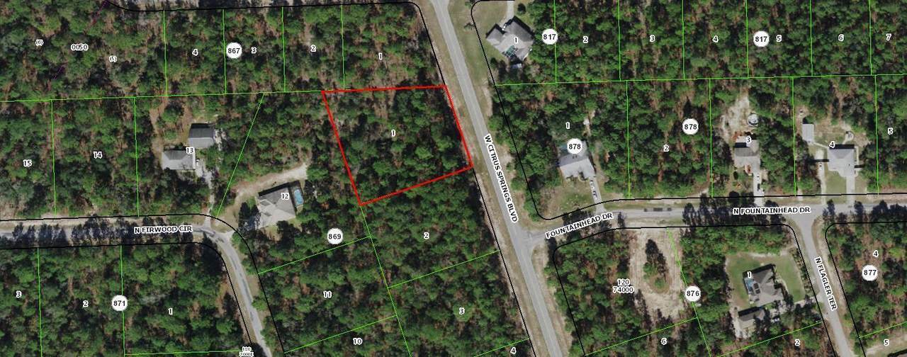 4228 Citrus Springs Boulevard - Photo 1