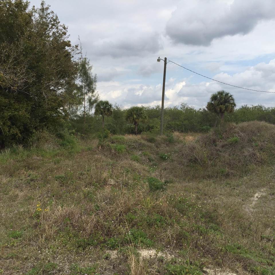 20636 Louise Street - Photo 1