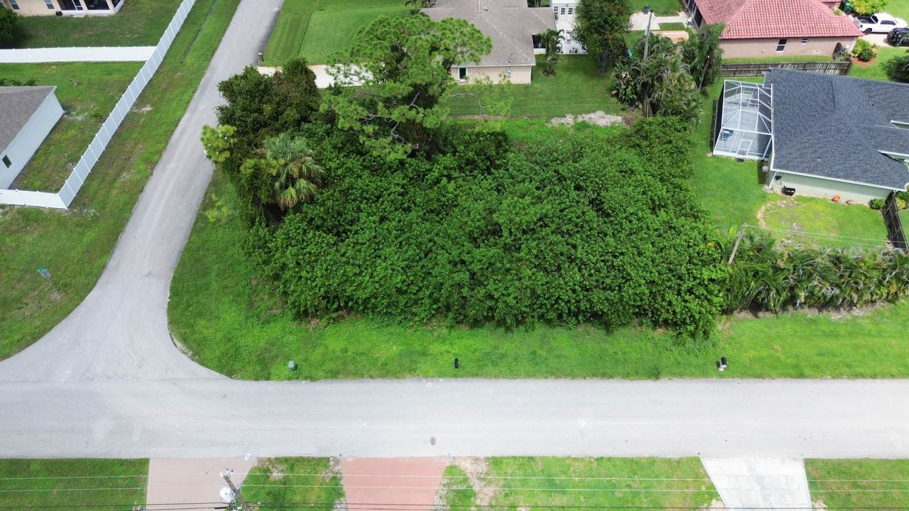 4299 Jive Street - Photo 1