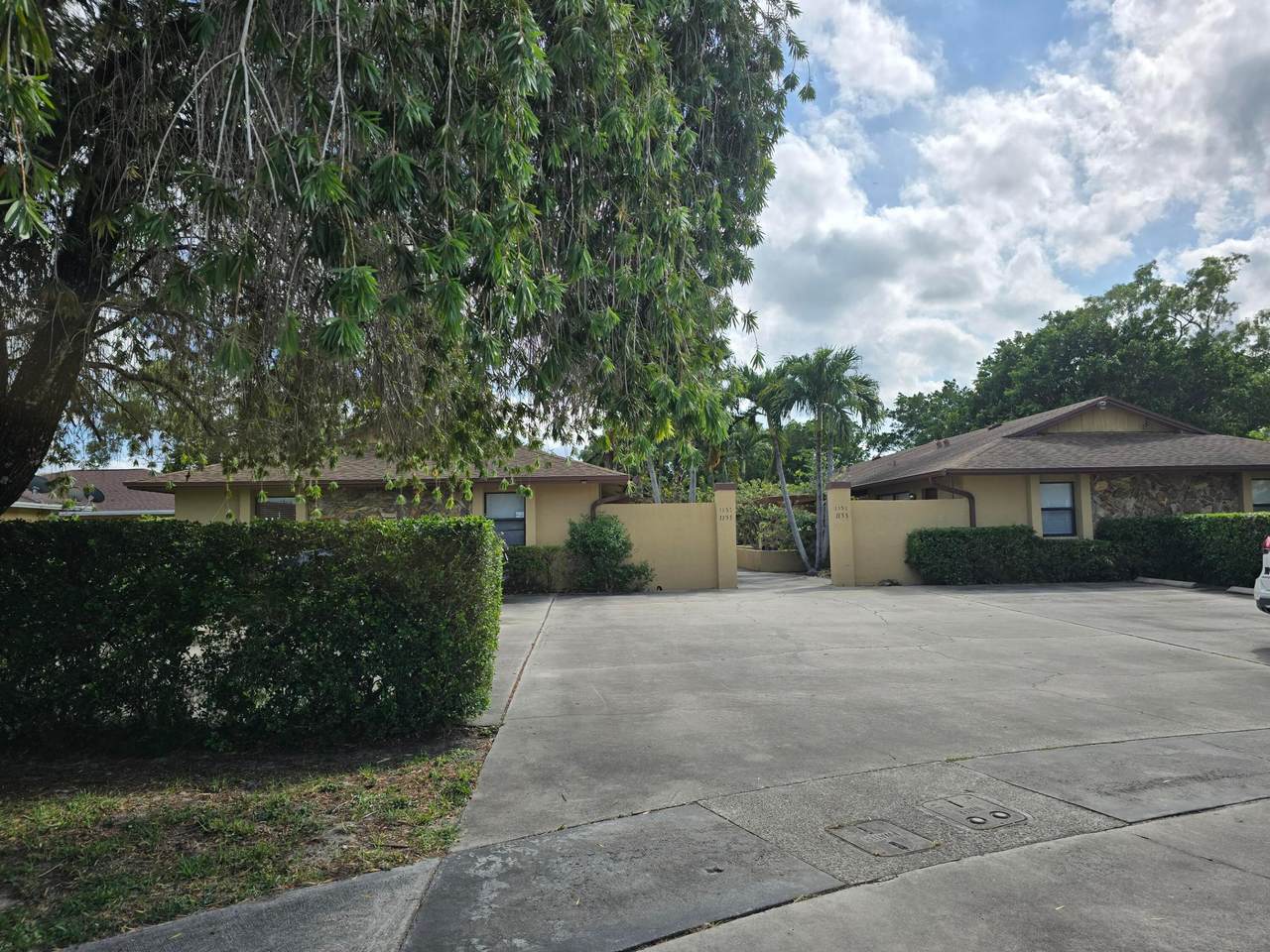 1155 White Pine Pine - Photo 1