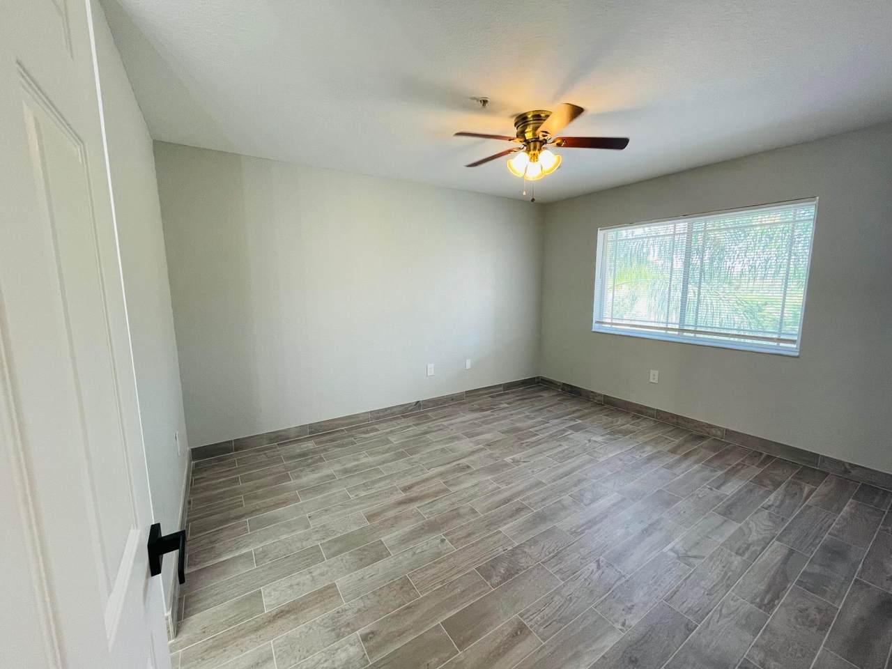 161 Palm Drive - Photo 1