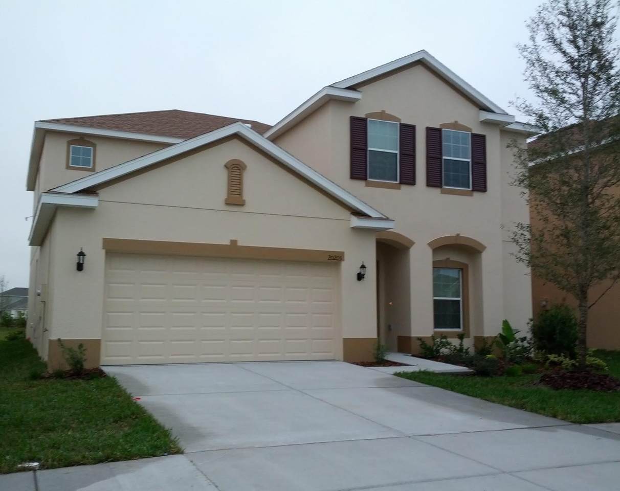 20205 Autumn Fern - Photo 1