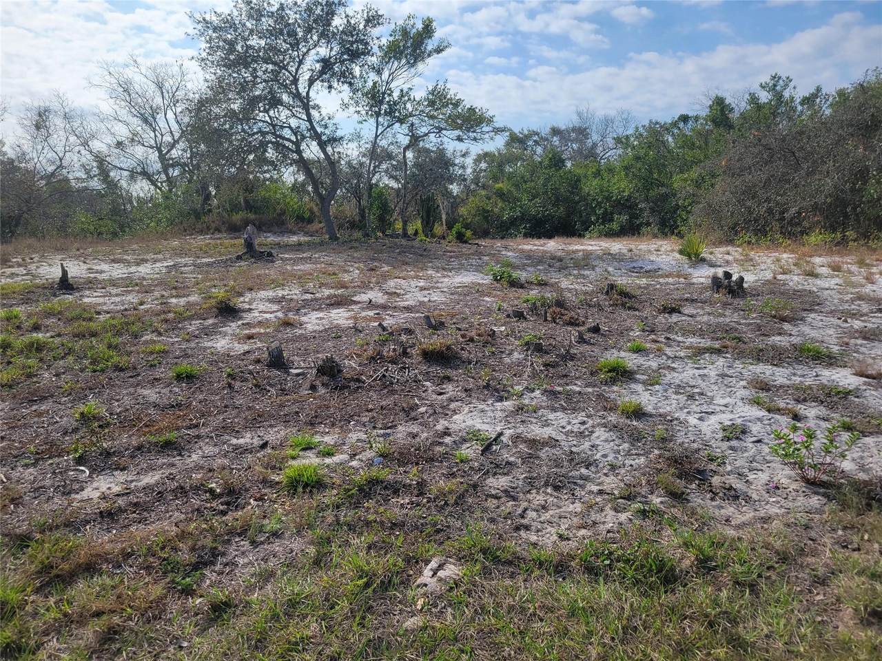 207 William Gray Court - Photo 1