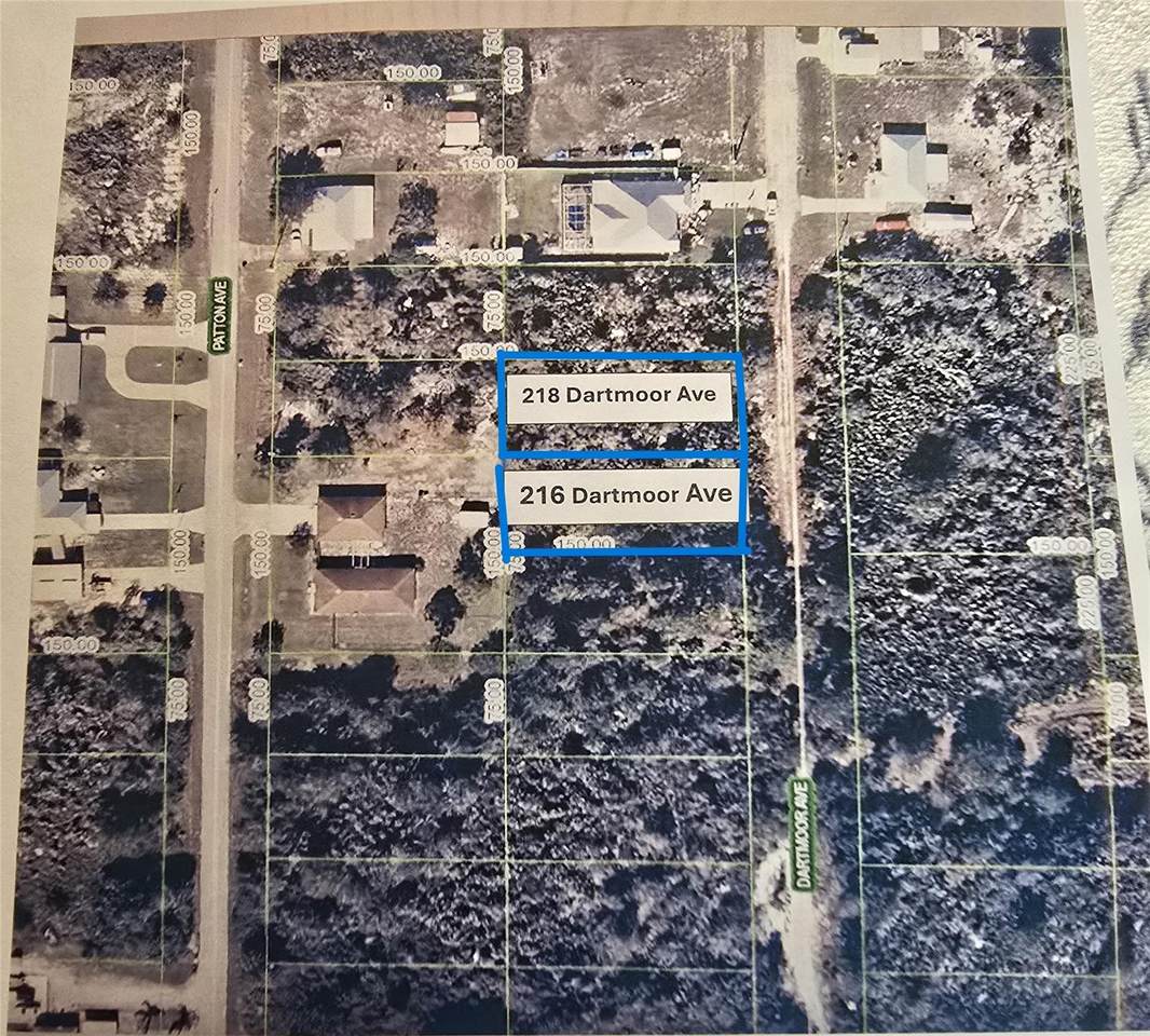 216 Dartmoor Ave - Photo 1