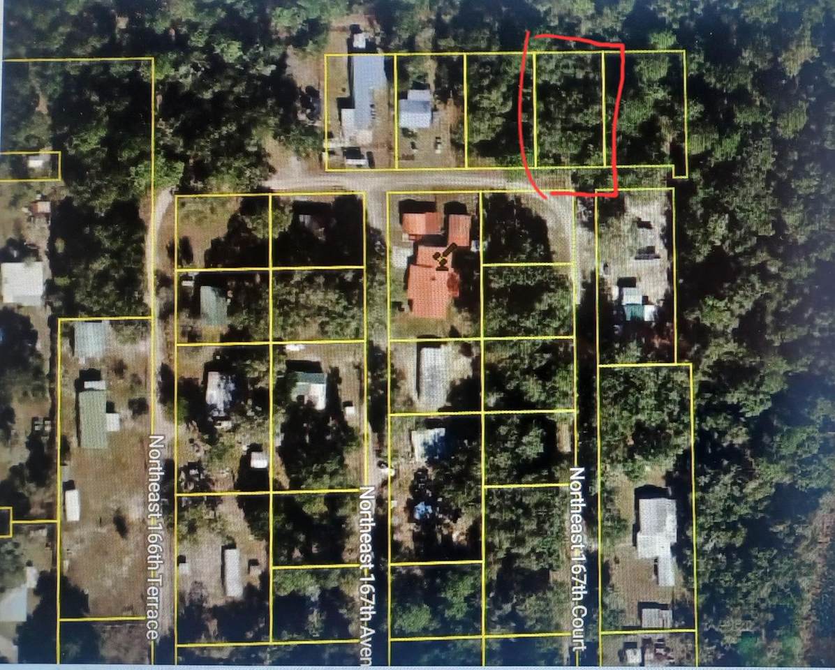 XXXX Undetermined - Photo 1