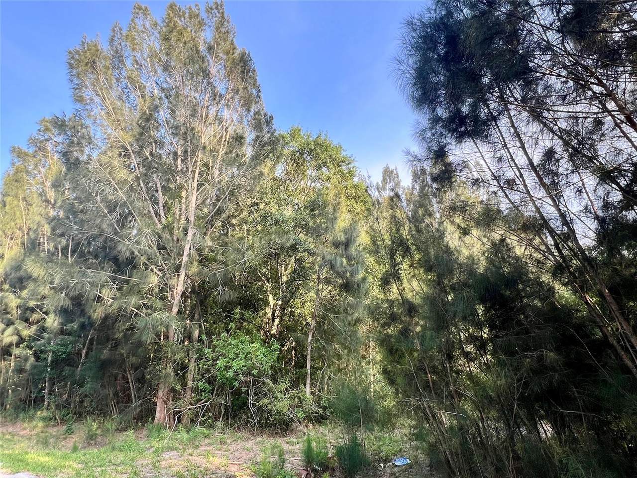 10128 20th Ln - Photo 1