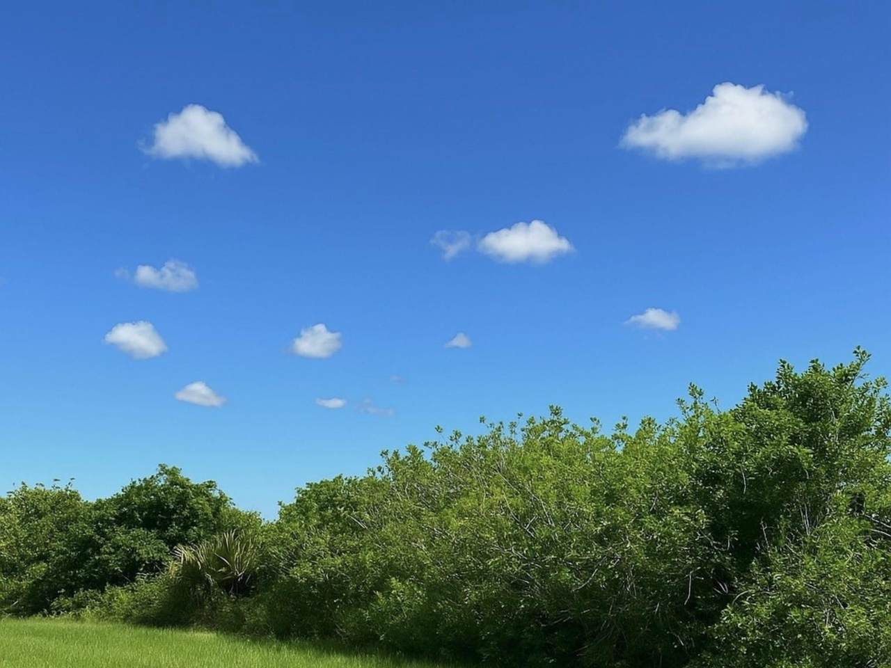 https://bt-photos.global.ssl.fastly.net/beaches/1280_boomver_1_F10507198-2.jpg