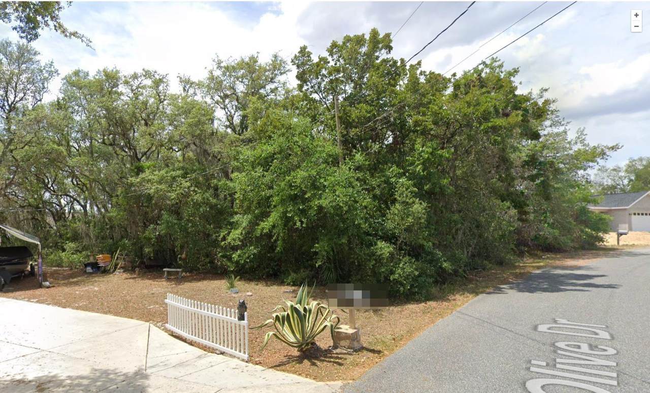 26 Olive Drive - Photo 1