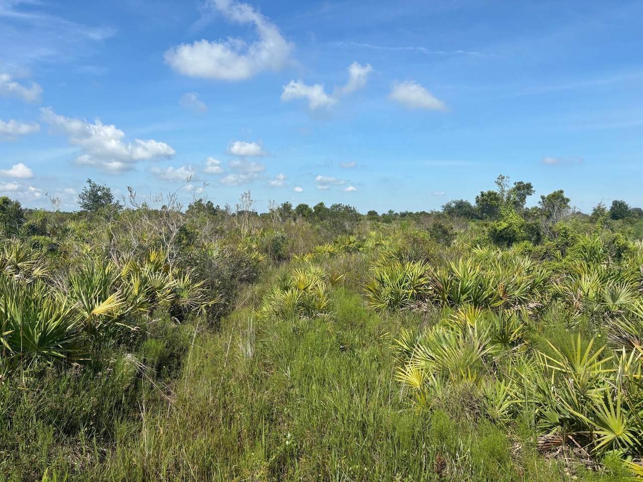 0 312th St - Photo 1