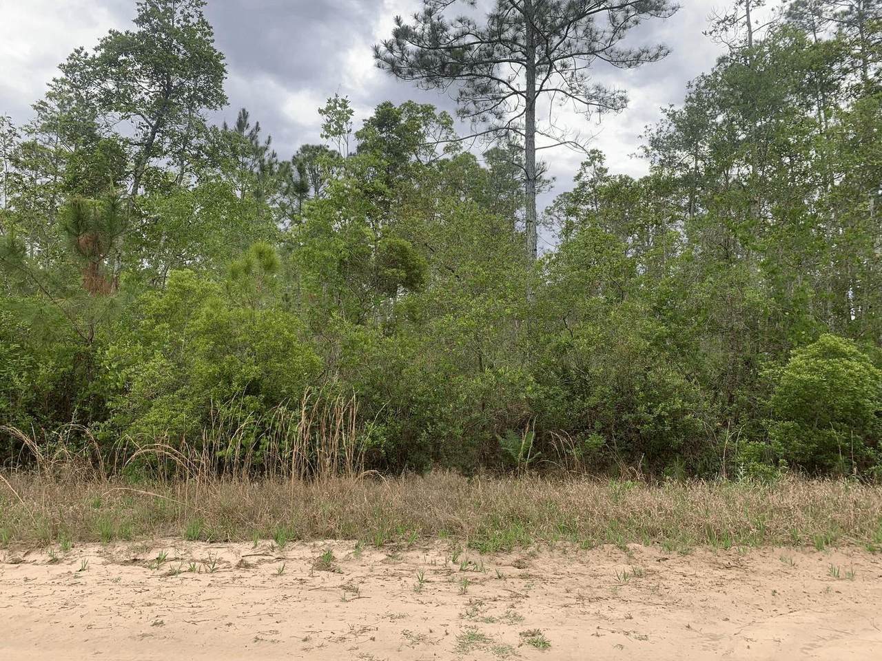 0 Basford St - Photo 1