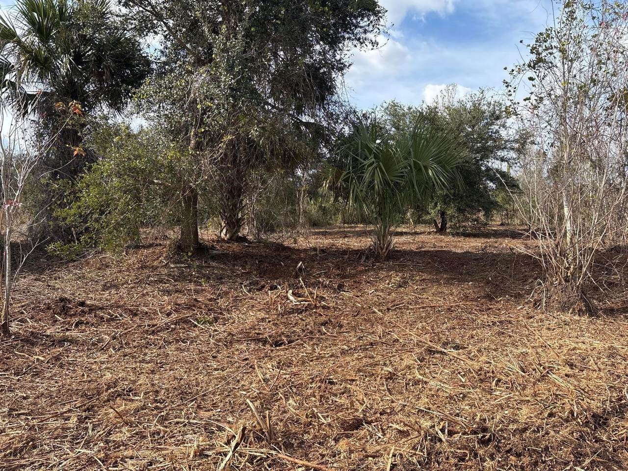 0 296th St - Photo 1