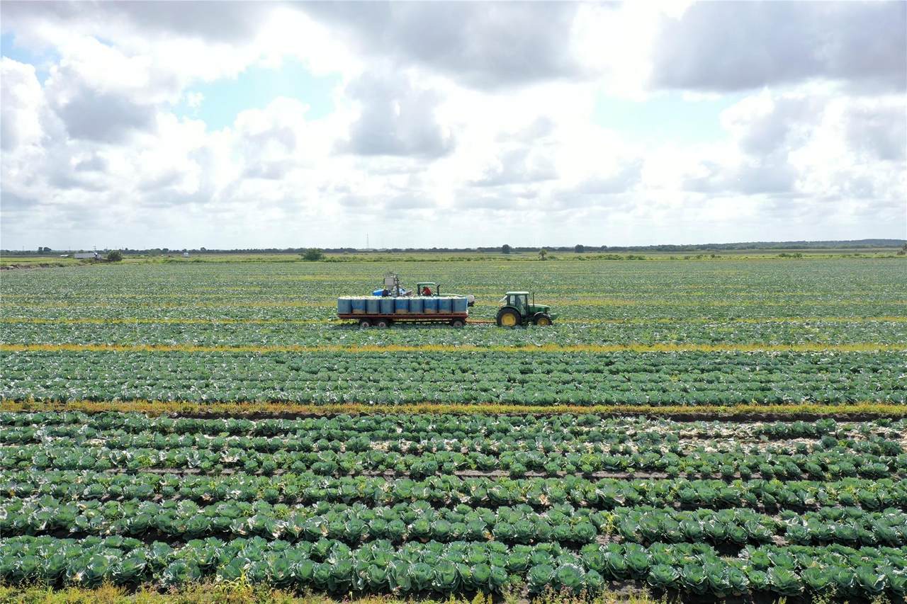 23481 144th Ave - Photo 1