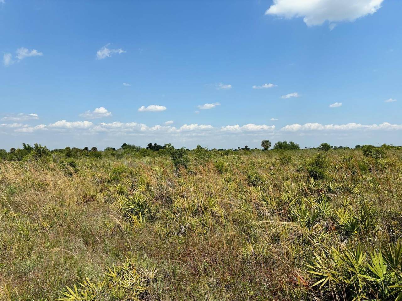 0 318th St - Photo 1