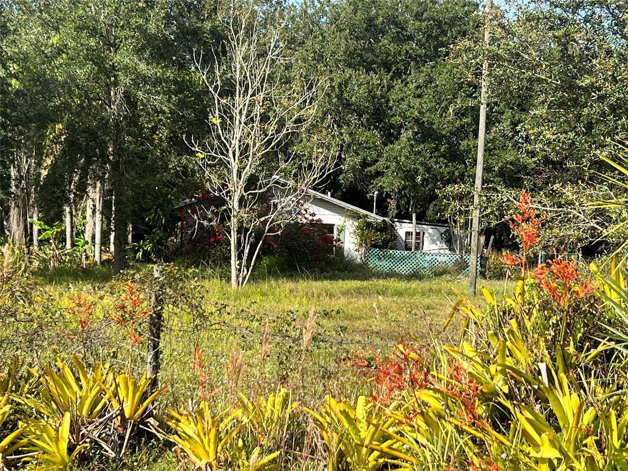 14625 298th - Photo 1