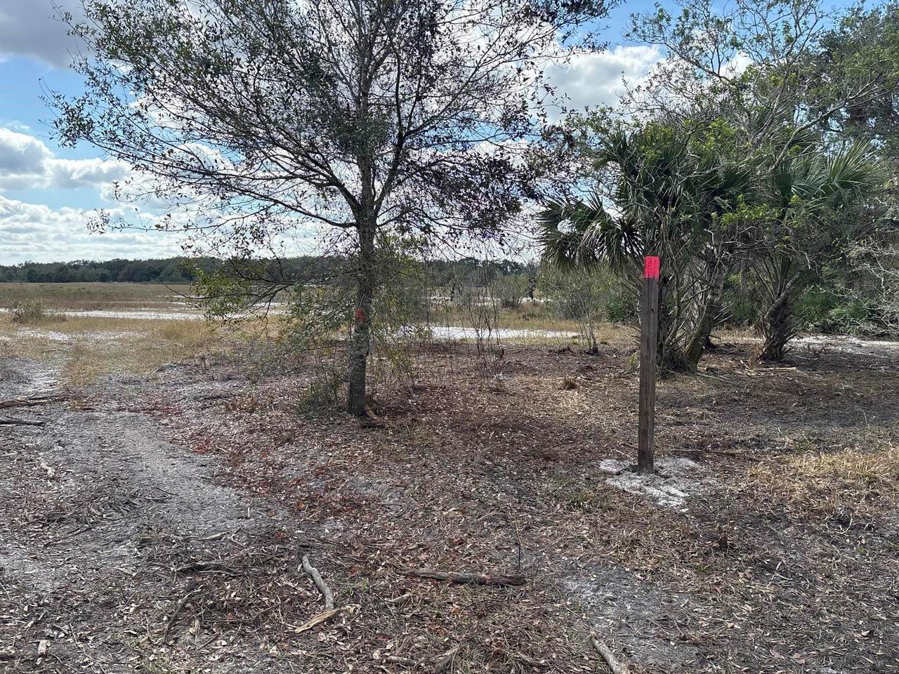 0 298th Street - Photo 1