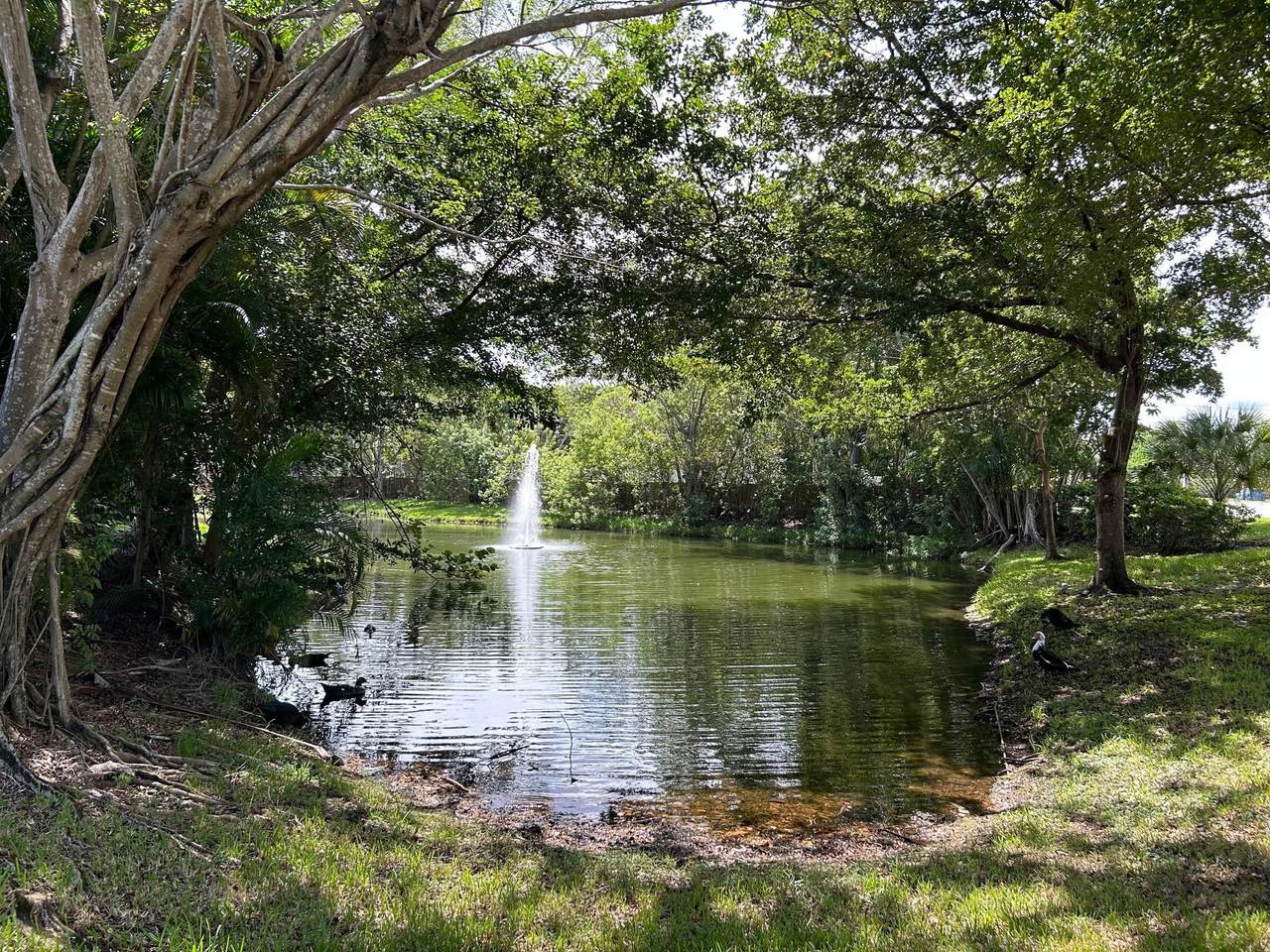9999 Summerbreeze Drive - Photo 1