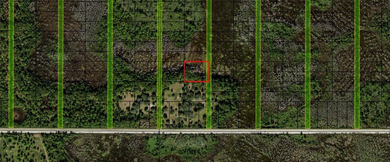 0 Old Grade Road - Photo 1