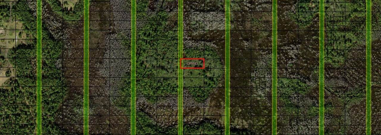 0 Old Grade Road - Photo 1