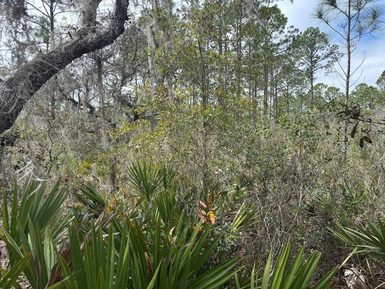 https://bt-photos.global.ssl.fastly.net/beaches/1280_boomver_1_F10556322-2.jpg