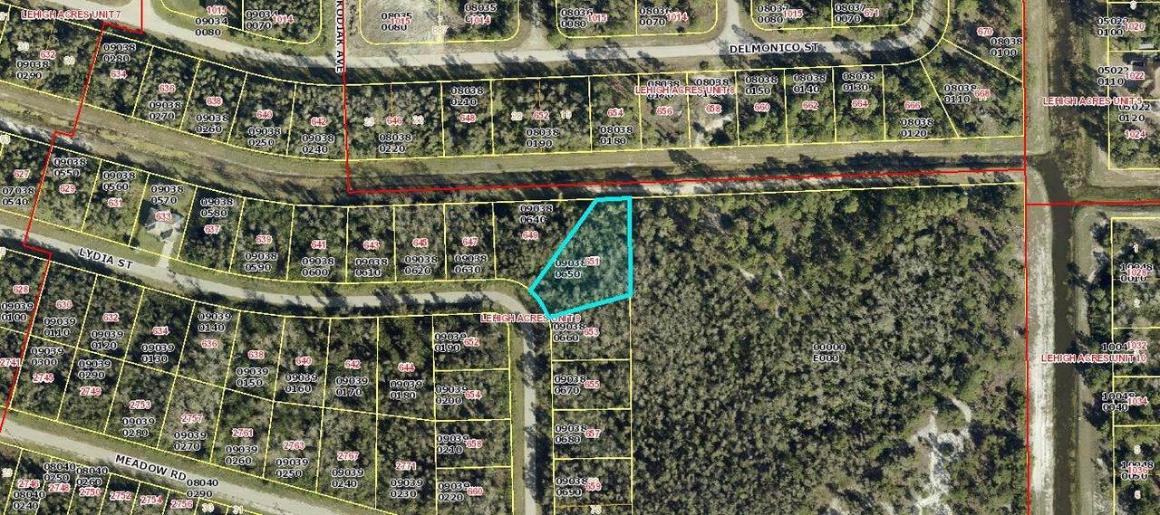 651 Lydia Street - Photo 1