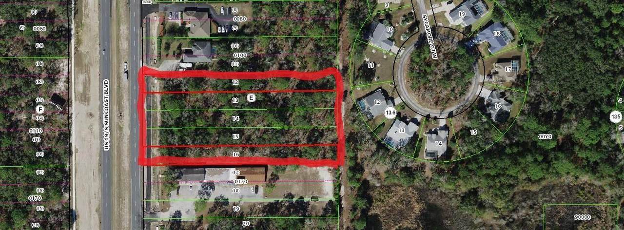 8863 Suncoast Boulevard - Photo 1