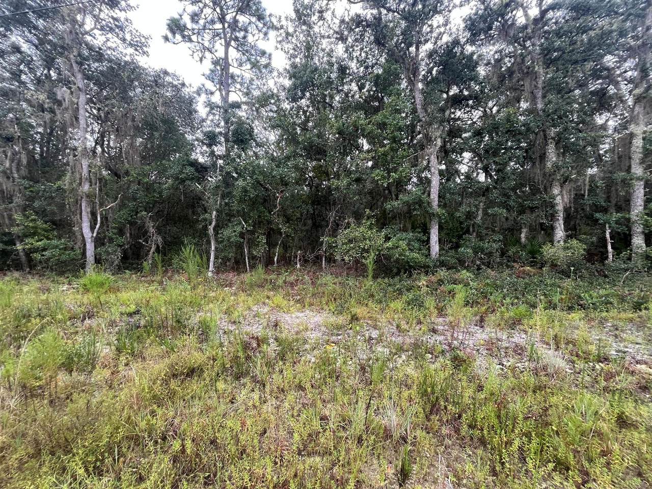 Tbd Glisson - Photo 1