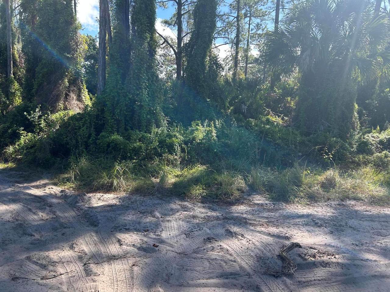 0 Slash Pine Trail - Photo 1