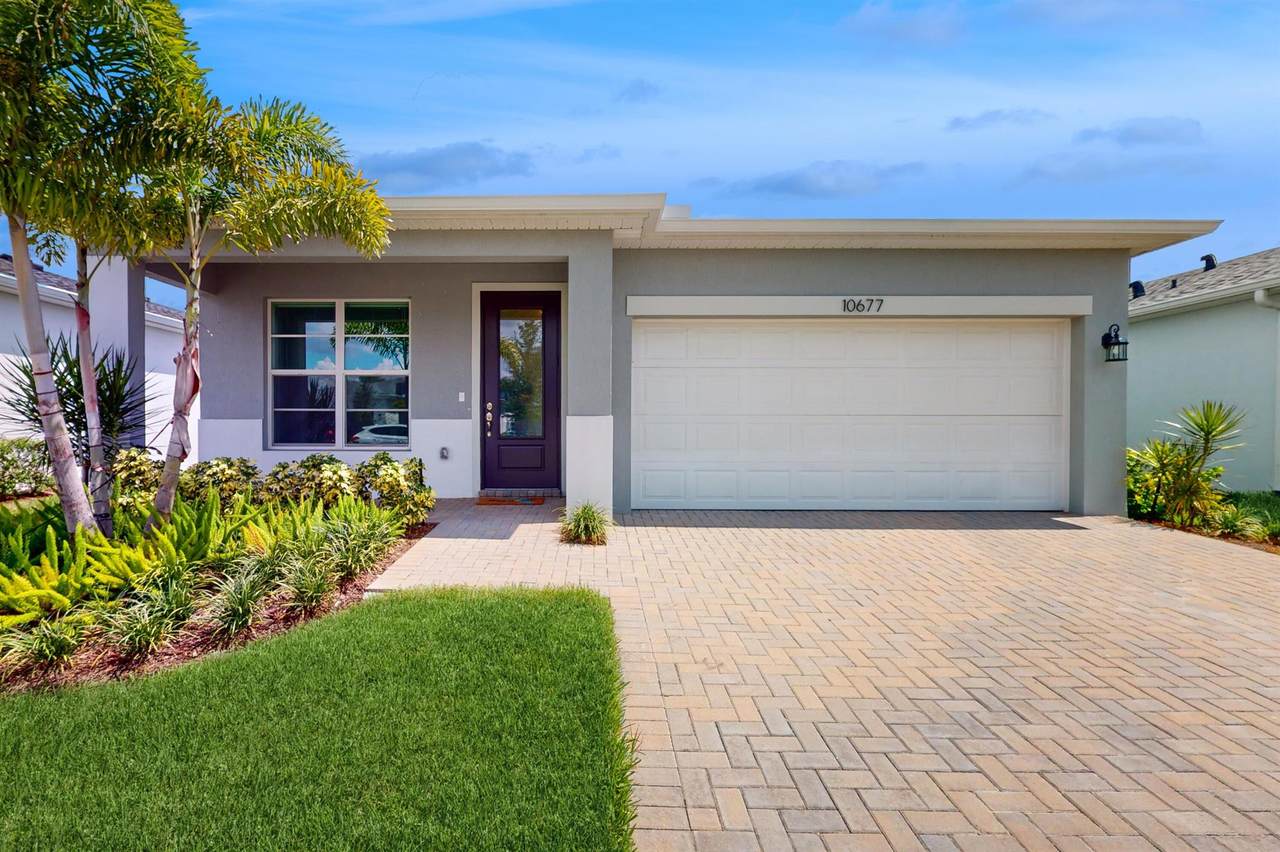10677 Gloriana Street - Photo 1