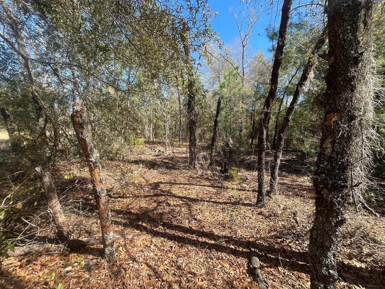 Tbd Kitty Avenue - Photo 1