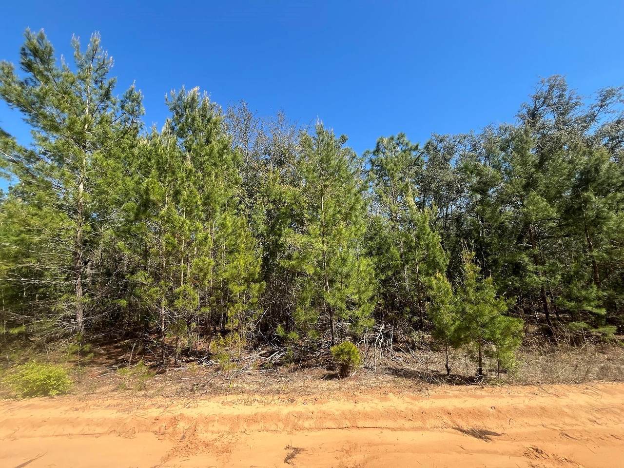 Tbd Shappell Avenue - Photo 1