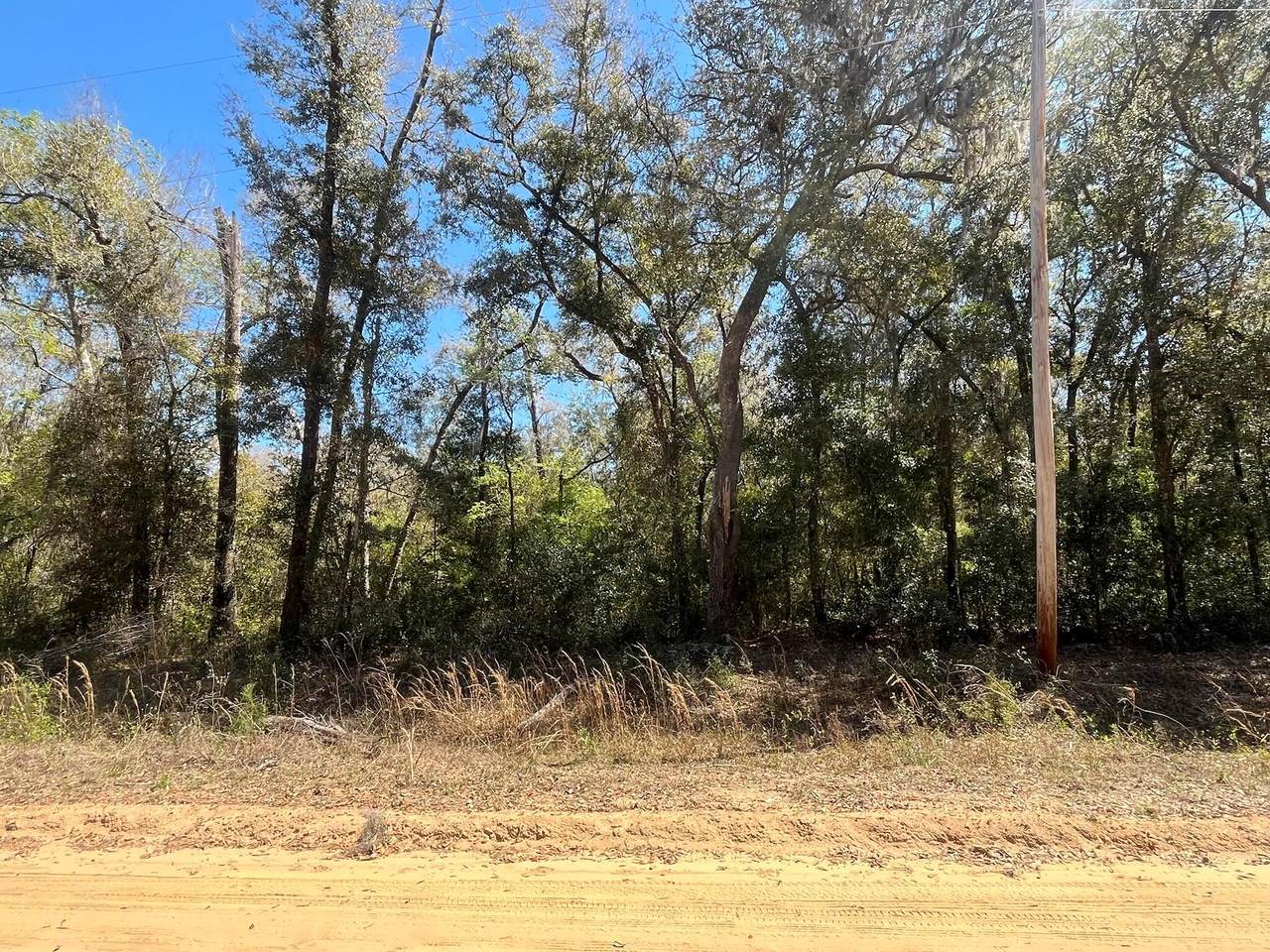 Tbd Walker Drive - Photo 1