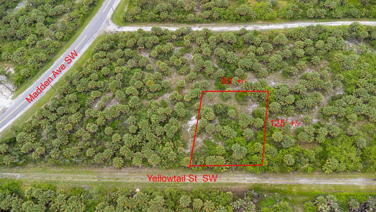 840 Yellowtail Street - Photo 1