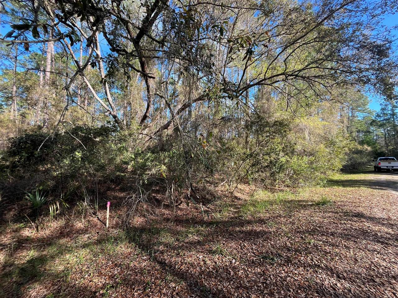 104 5th Street - Photo 1