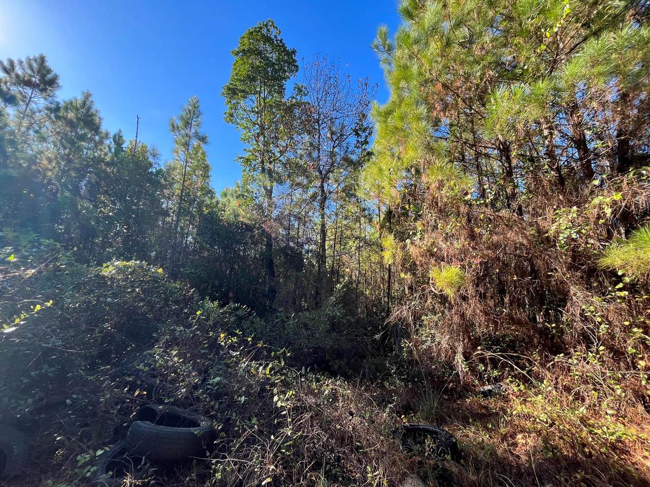 223 Mourning Dove Road - Photo 1