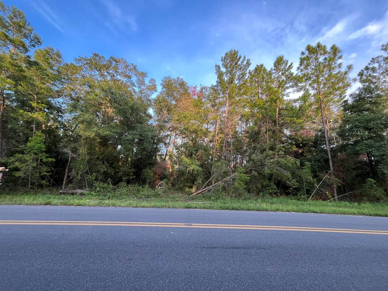 Tbd Twin Lakes Road - Photo 1