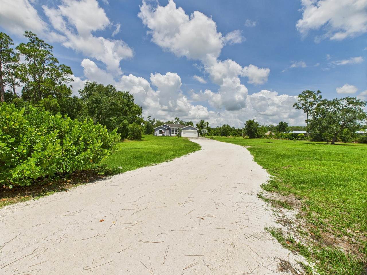 13391 14th Avenue - Photo 1