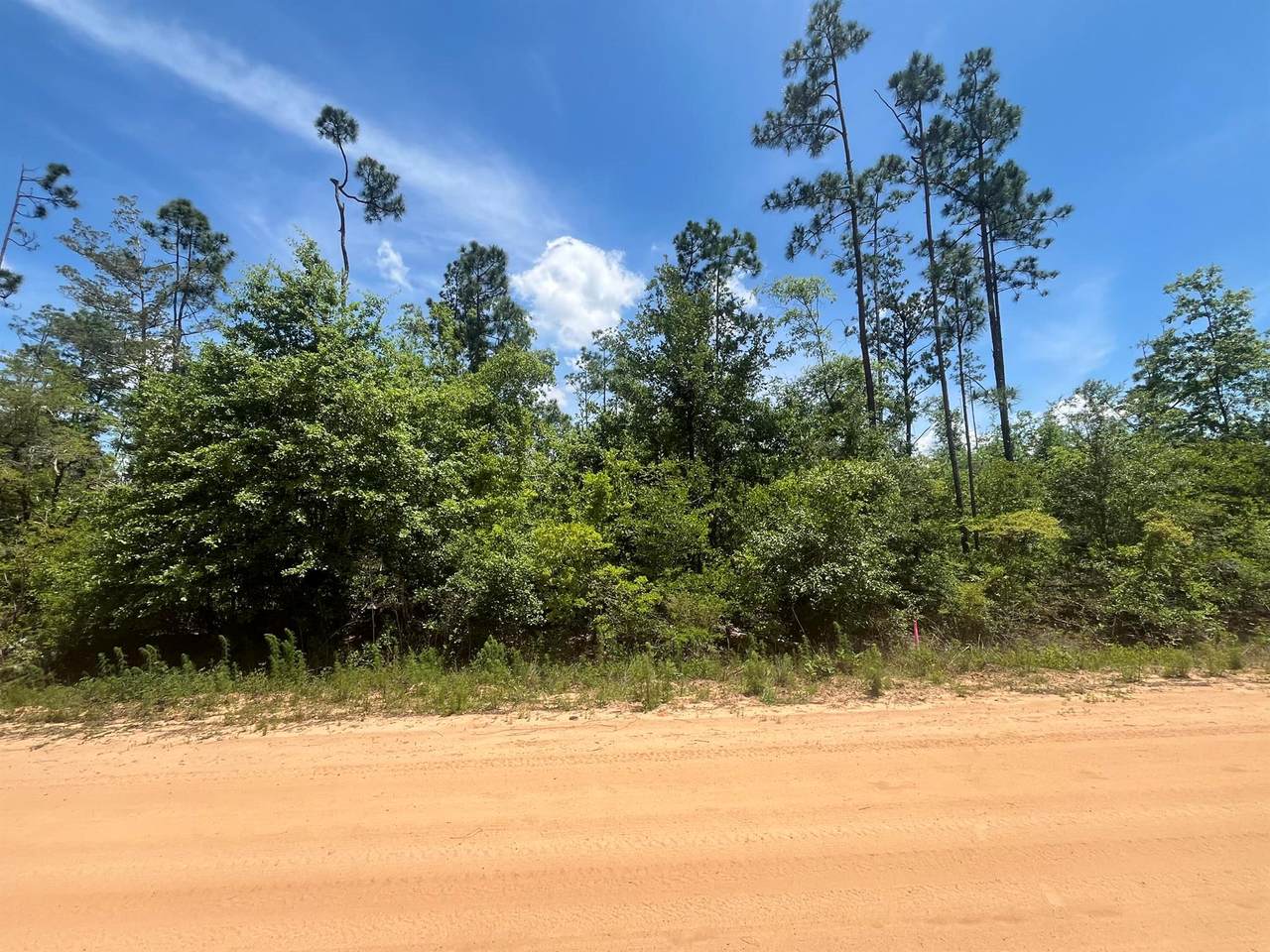 Tbd Tamarac Road - Photo 1