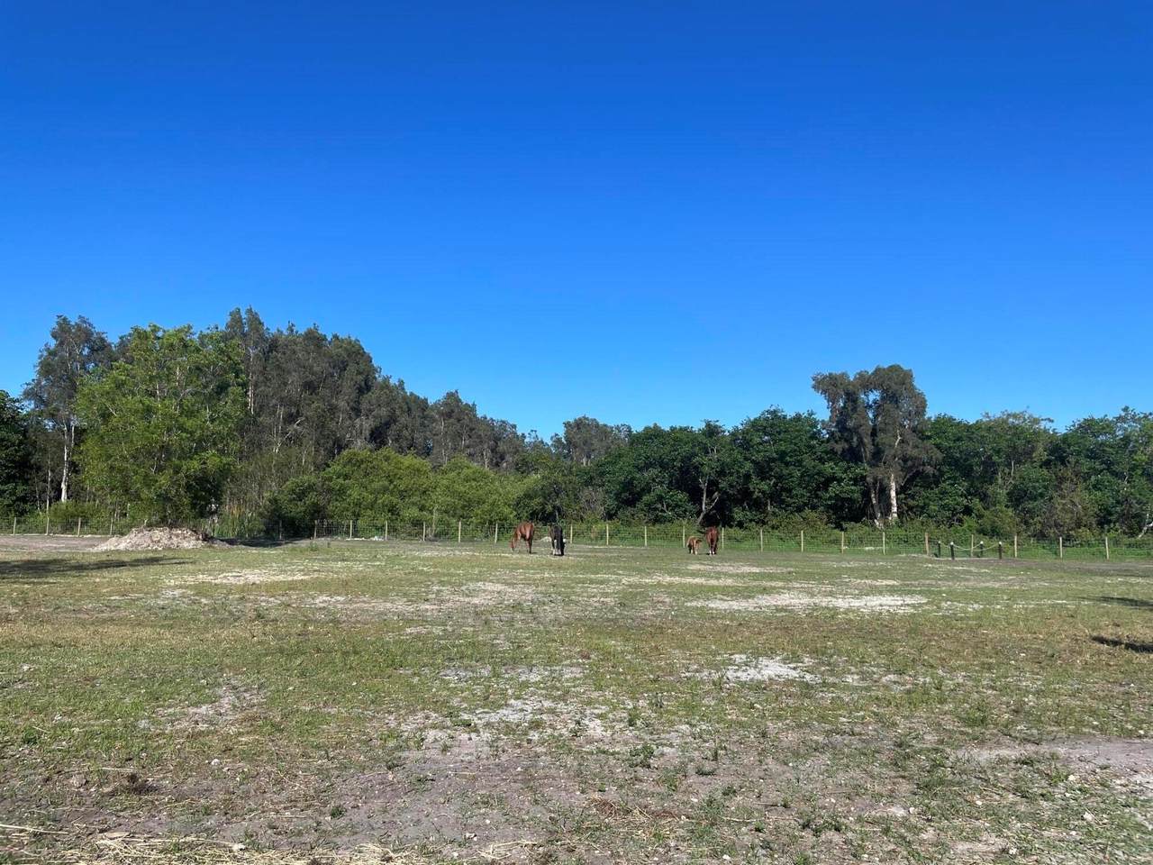 12398 Tangerine Boulevard - Photo 1