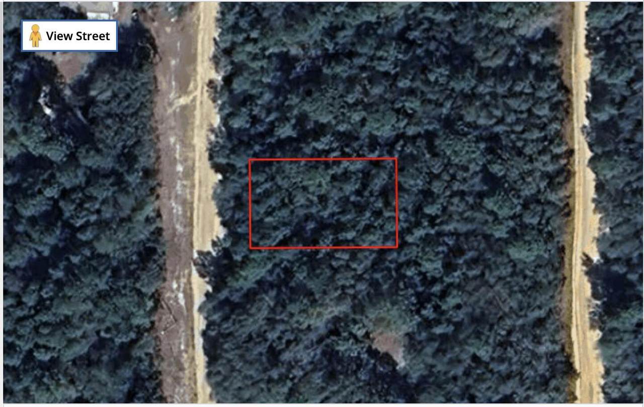 Tbd Louise Avenue - Photo 1