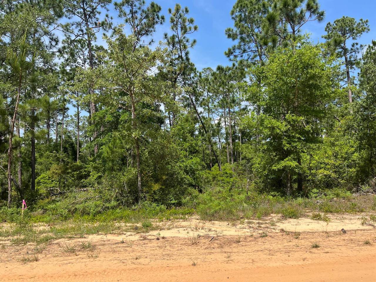 Tbd Holly Springs - Photo 1