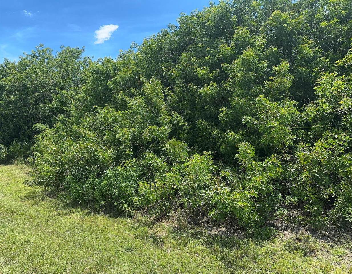 0 Village Sw Parkway - Photo 1