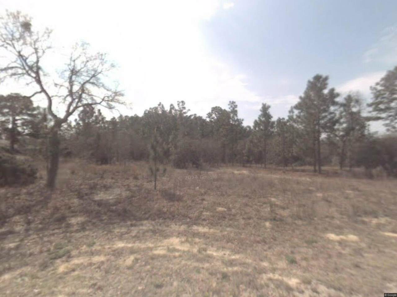 6632 Sand Drive - Photo 1