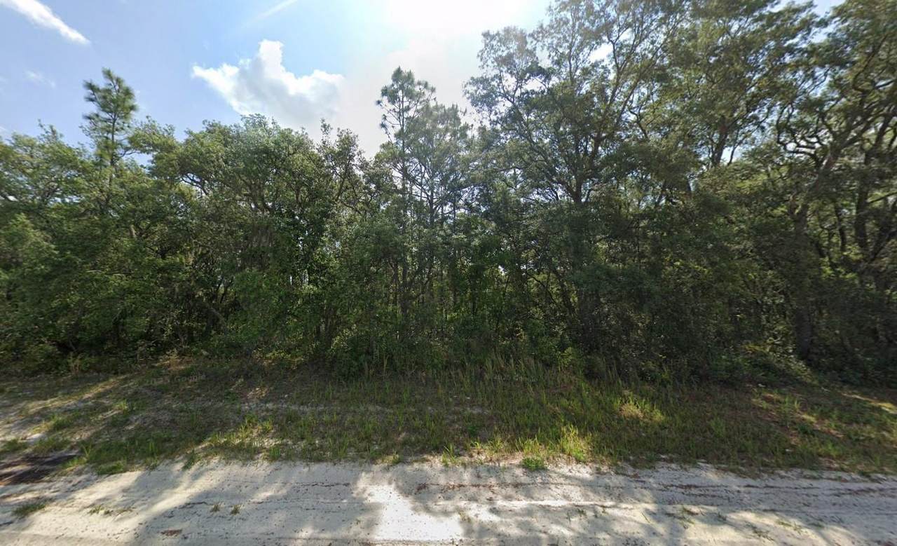 Tbd 146th Lane Road - Photo 1