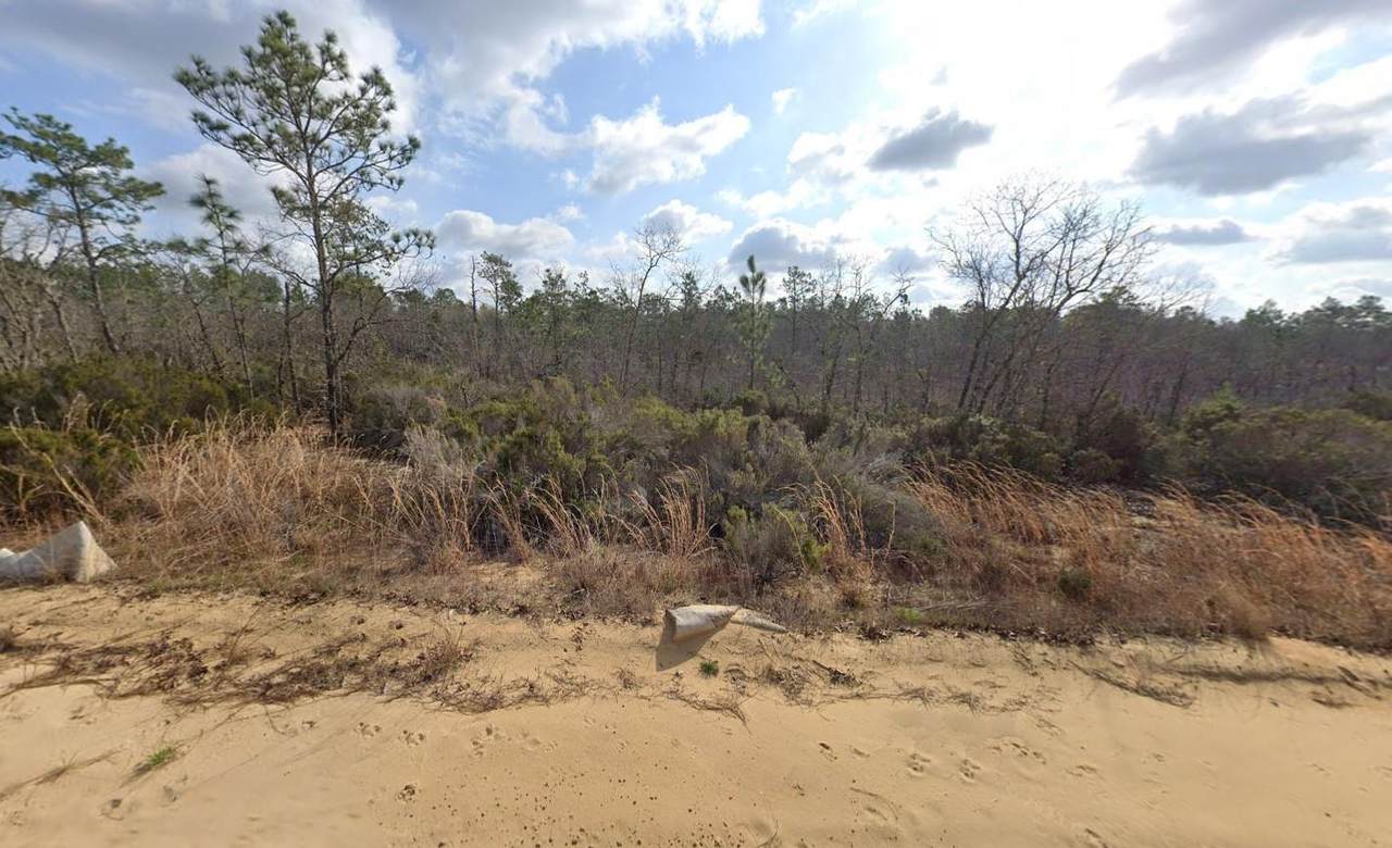 206 Marion Trail - Photo 1