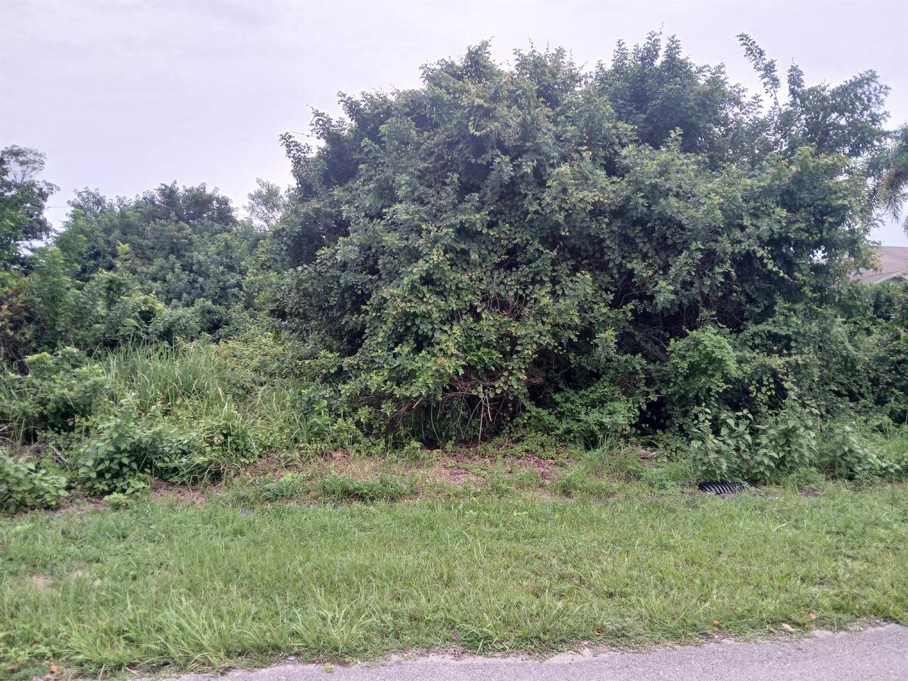 4437 Cacao Street - Photo 1