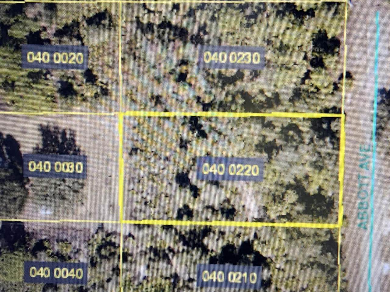 2319 Abbott Avenue - Photo 1