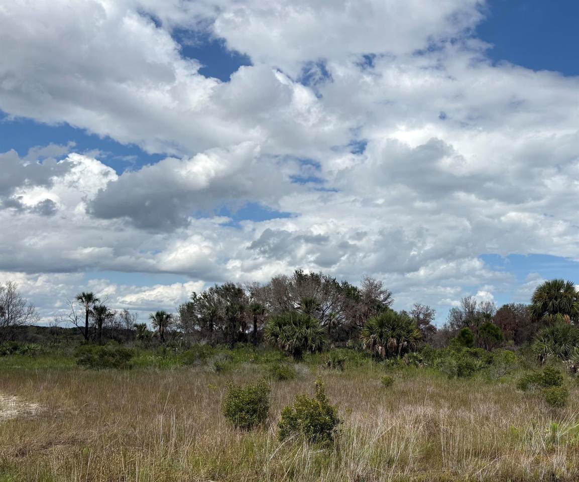 17275 308th Street - Photo 1